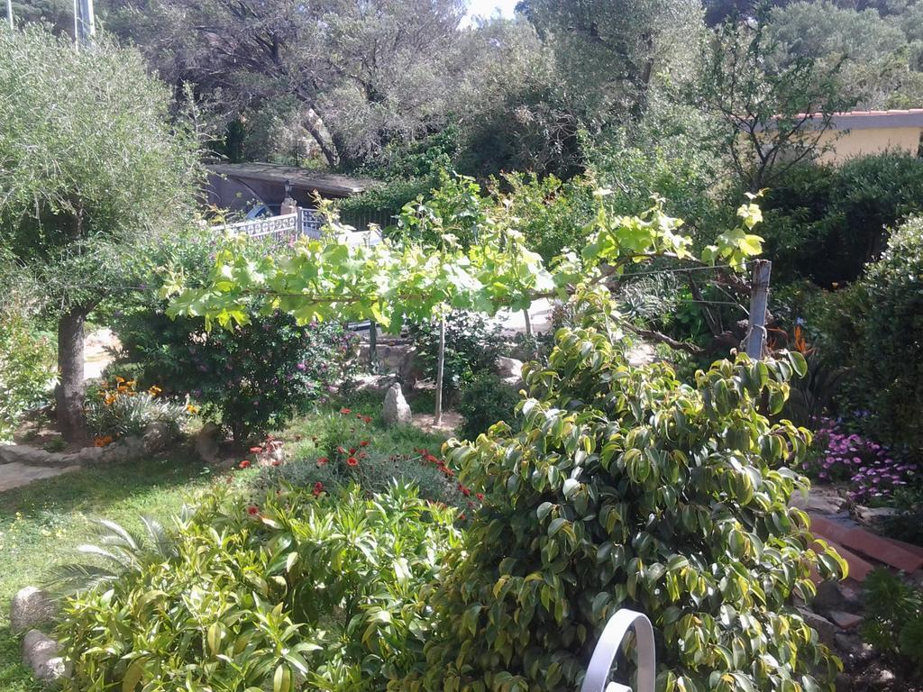 La Fonte Dell'Ulivo 3 Bed & Breakfast La Maddalena  Ngoại thất bức ảnh