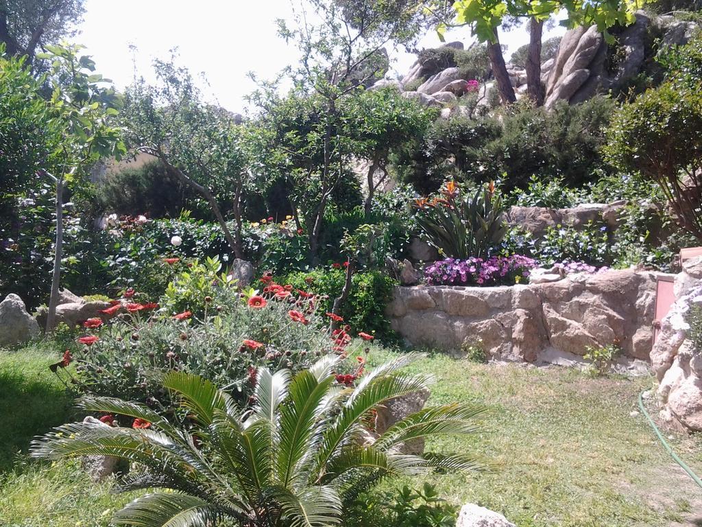 La Fonte Dell'Ulivo 3 Bed & Breakfast La Maddalena  Ngoại thất bức ảnh