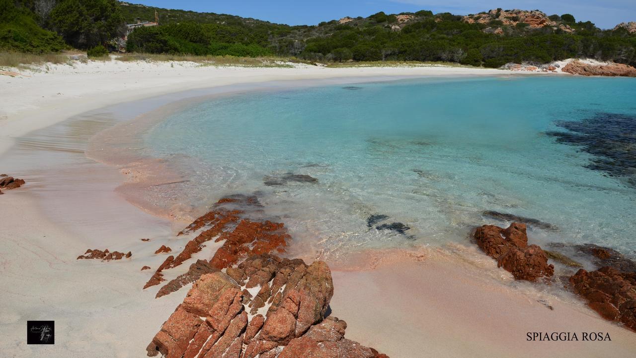 La Fonte Dell'Ulivo 3 Bed & Breakfast La Maddalena  Ngoại thất bức ảnh