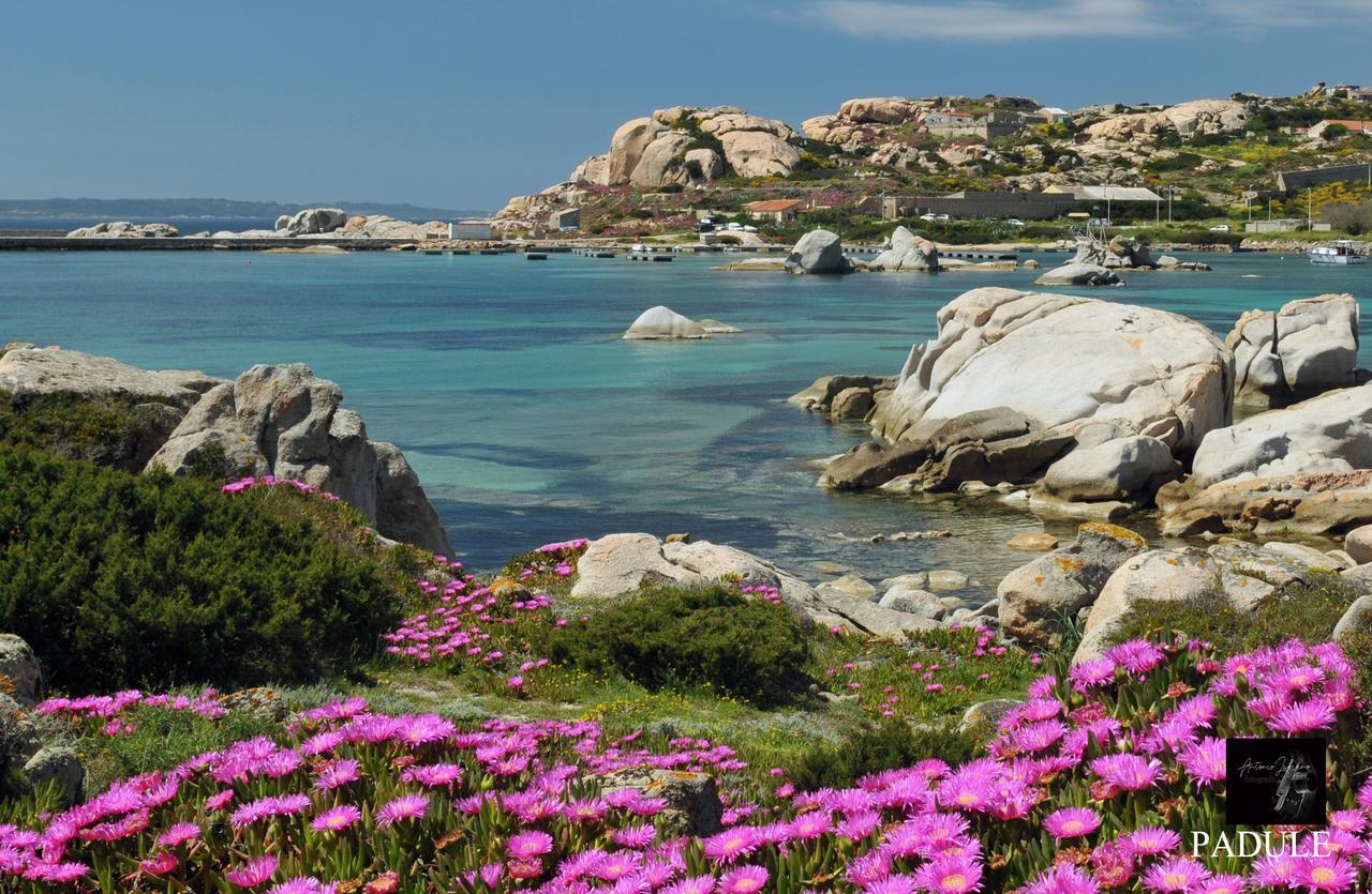La Fonte Dell'Ulivo 3 Bed & Breakfast La Maddalena  Ngoại thất bức ảnh
